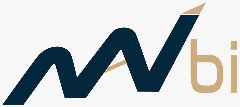 Navi BI